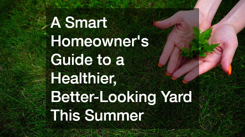 A Smart Homeowners Guide to a Healthier, Better-Looking Yard This Summer